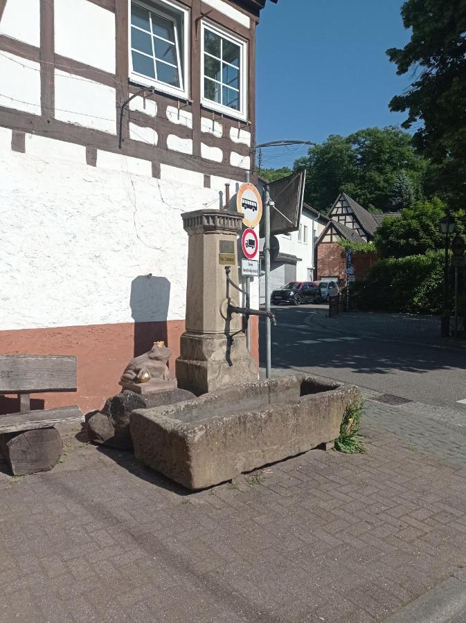 Gaestehaus Hoffmann Dörrenbach Exteriör bild